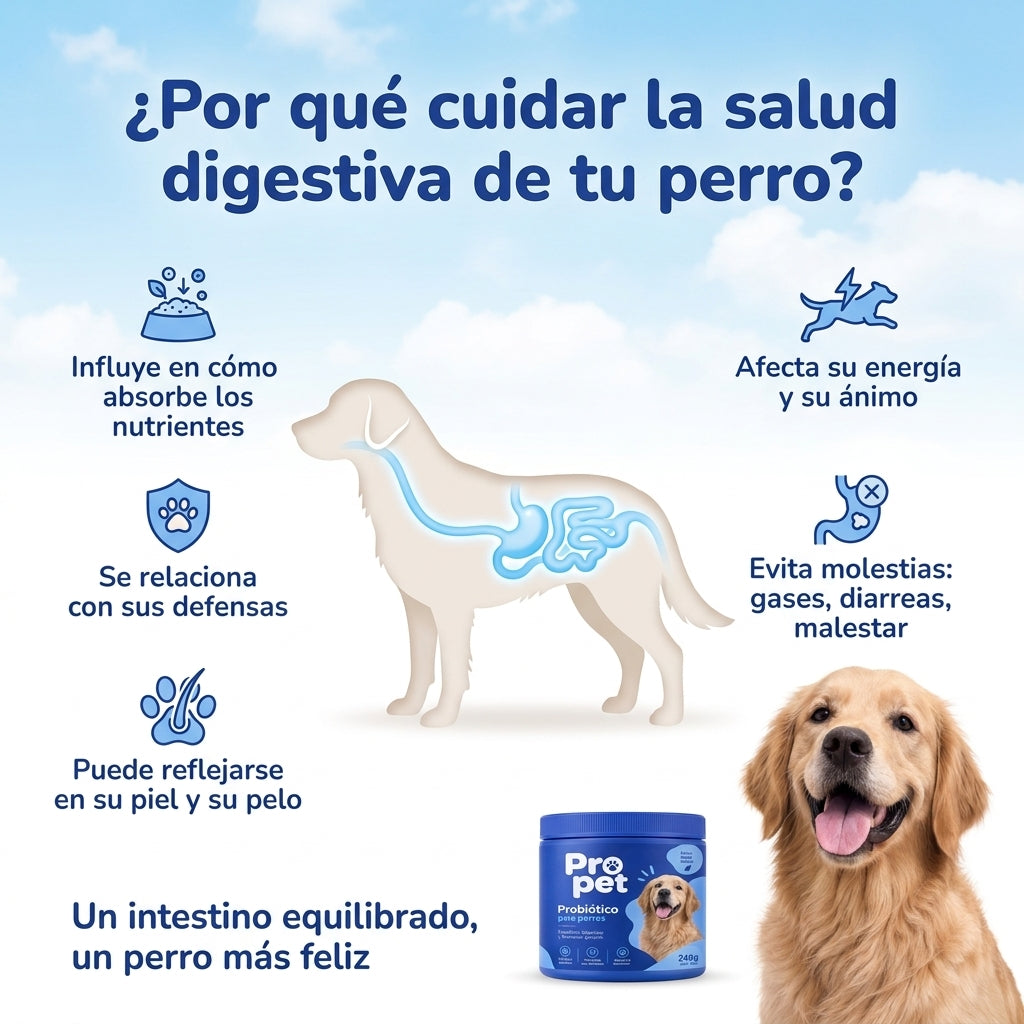 Pro pet |  Probióticos para la salud digestiva de tu perro