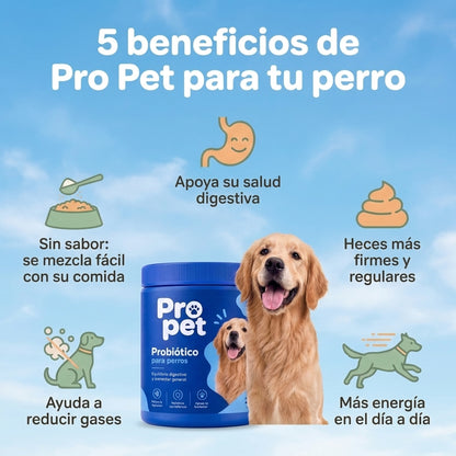 Pro pet |  Probióticos para la salud digestiva de tu perro