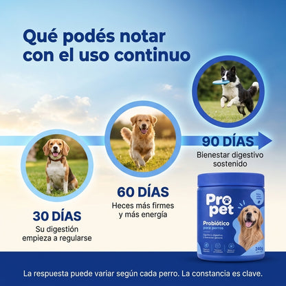 Pro pet |  Probióticos para la salud digestiva de tu perro